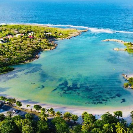 Swilodge Vue Sur Mer ! Petit Dejeuner Et Location De Voiture Possible Le Moule Esterno foto