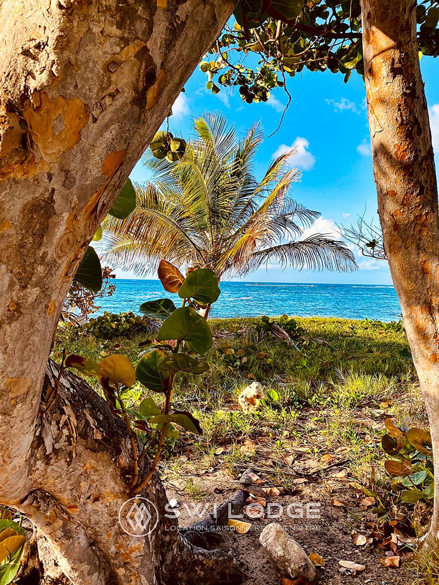 Swilodge Vue Sur Mer ! Petit Dejeuner Et Location De Voiture Possible Le Moule Esterno foto